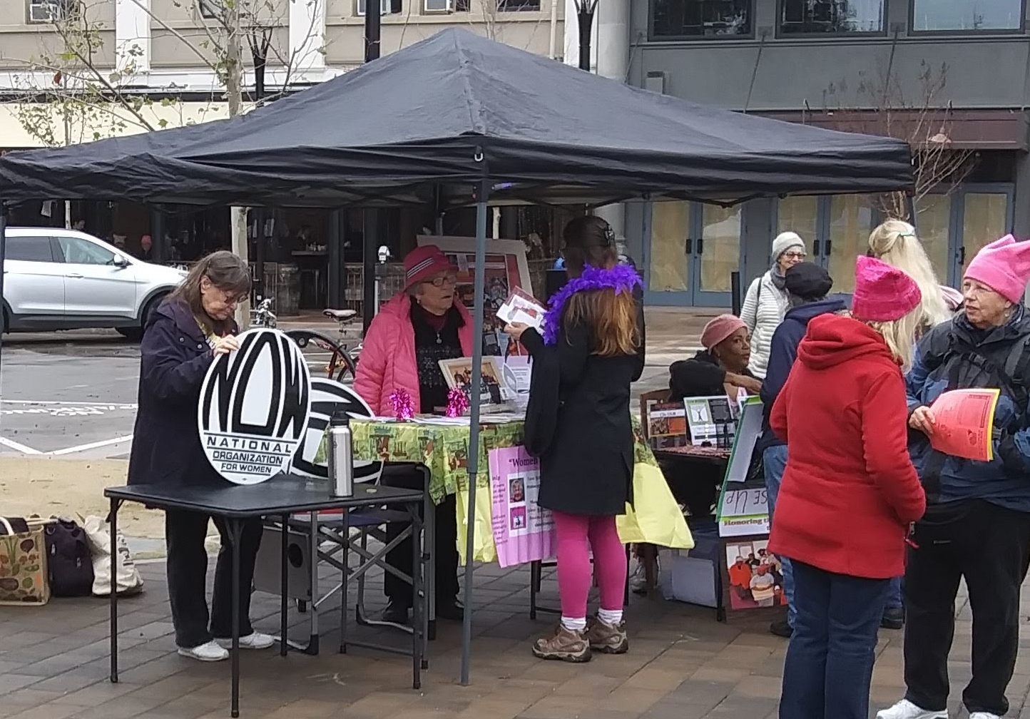 SR Women's Rally and March, NOW booth