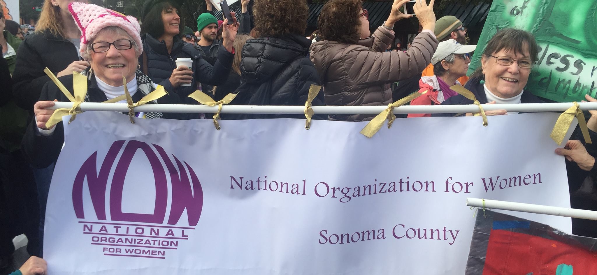 NOW Sonoma Chapter on the Womens' March January 29, 2018